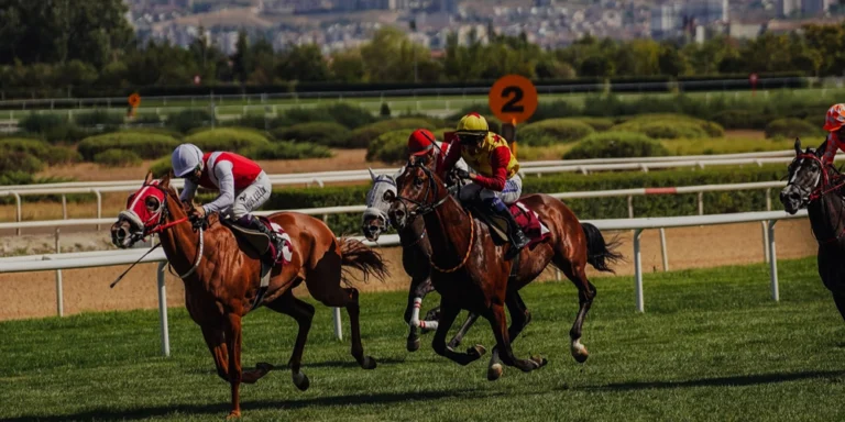 Cheltenham Festival 2027: Chauffeur Transfer from Birmingham