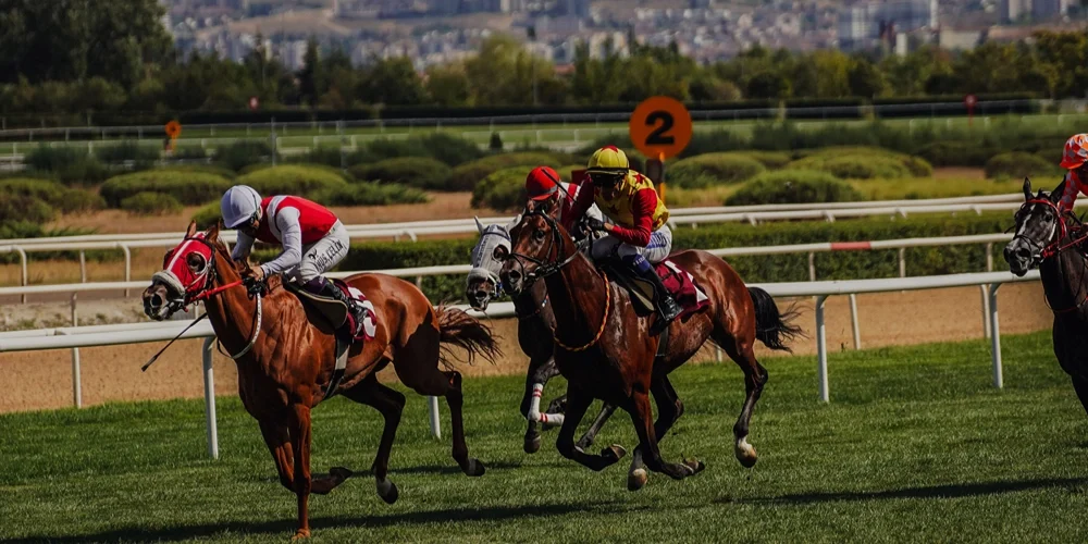 Cheltenham Festival 2027: Chauffeur Transfer from Birmingham